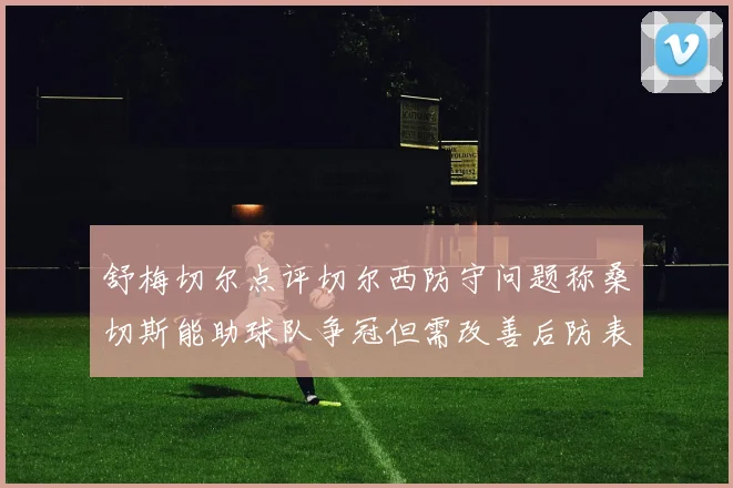 舒梅切尔点评切尔西防守问题称桑切斯能助球队争冠但需改善后防表现