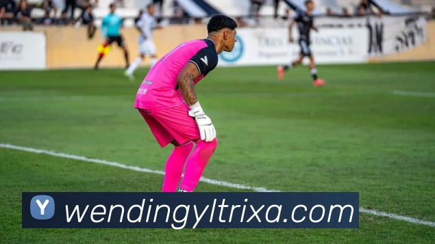 问鼎娱乐品牌故事